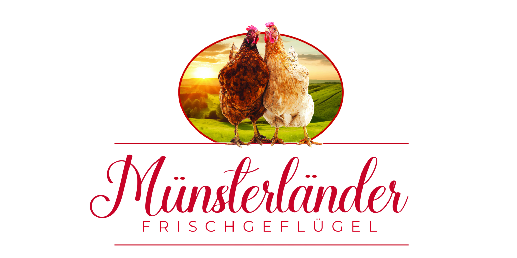 Munsterlander sponsor logo, chickens on a field over the text name of Munsterlander